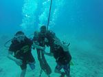 Hawaii Scuba divng 43