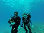 Hawaii Scuba divng 51