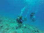 Hawaii Scuba divng 53