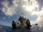 Hawaii Scuba divng 54