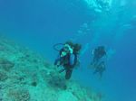 Hawaii Scuba divng 56