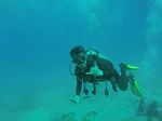 Hawaii Scuba divng 58