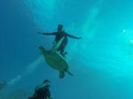 Hawaii Scuba divng 05