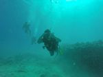 Hawaii Scuba divng 61