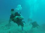 Hawaii Scuba divng 65