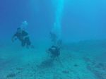 Hawaii Scuba divng 66