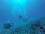 Hawaii Scuba divng 67