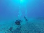 Hawaii Scuba divng 68