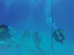 Hawaii Scuba divng 71