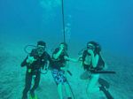 Hawaii Scuba divng 73