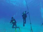 Hawaii Scuba divng 77