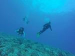 Hawaii Scuba divng 78