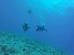 Hawaii Scuba divng 79