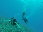 Hawaii Scuba divng 80