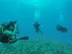 Hawaii Scuba divng 81