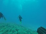 Hawaii Scuba divng 82