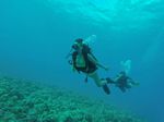 Hawaii Scuba divng 83