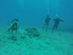 Hawaii Scuba divng 87