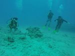 Hawaii Scuba divng 89