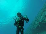 Hawaii Scuba divng 94