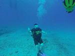 Hawaii Scuba divng 99