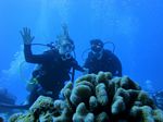 Oahu scuba 17