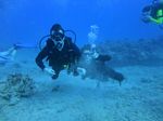 Oahu scuba 31