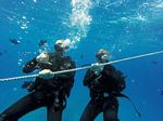 Hawaii Scuba divng 10