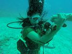 Hawaii Scuba divng 11