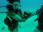 Hawaii Scuba divng 12