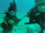 Hawaii Scuba divng 13