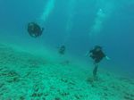 Hawaii Scuba divng 19