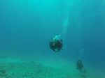 Hawaii Scuba divng 20