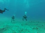 Hawaii Scuba divng 21