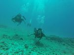 Hawaii Scuba divng 23