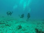 Hawaii Scuba divng 25