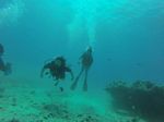 Hawaii Scuba divng 32