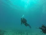 Hawaii Scuba divng 33