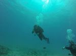 Hawaii Scuba divng 34