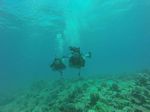 Hawaii Scuba divng 35