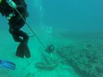 Hawaii Scuba divng 38