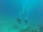 Hawaii Scuba divng 40