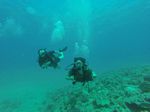 Hawaii Scuba divng 41