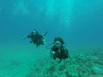 Hawaii Scuba divng 42