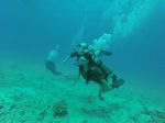 Hawaii Scuba divng 46