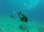 Hawaii Scuba divng 47