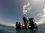 Hawaii Scuba divng 04