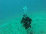 Hawaii Scuba divng 56