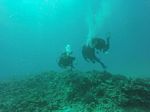 Hawaii Scuba divng 57