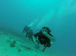 Hawaii Scuba divng 59